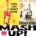 MASHUP , TONES AND I - MONKEY DANCE FEAT IMAGINATION - JUST AN ILLUSION BY STEFANO DJ STONEANGELS