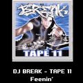 DJ Break Tape #11 (Feenin) [2000]