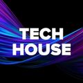 Tech House Mix 0822 by DJ Perofe