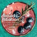 Liquid Libation - A Sunday Afternoon Relaxation | vol 67