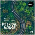 Melodic House & Tech #1