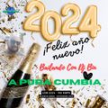 Dj Bin - Bienvenido 2024 (Cumbia)