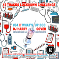 Lockdown Challenge #04 /// What's Up Doc /// Dj Harry Cover /// Ne Pas Dépasser La Dose Prescrite