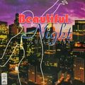 BEAUTIFUL NIGHT COLLECTION OF THE 90S
