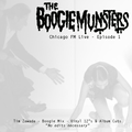 Boogie Munsters Radio - Episode 1 ft. Tim Zawada - All Vinyl Boogie Mix