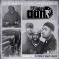 12 FINGER DAN Best of Series Vol. 8 (A TRIBE CALLED QUEST)
