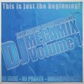 13th Records DJ Megamix Volume 1