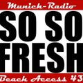 Munich-Radio (Christian Brebeck) Beach Access 43 (15.12.2013)