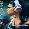 Beauty of Sound (Progressive Vocal House, recorded in 2012)