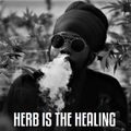 Positive Thursdays episode 741 - Herb Is The Healing (13th August 2020)