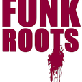 Funk Roots Vol 1 Unmixed OldSchool Funk & Rare Groove Selected By Dimo