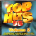 Top Hits 95 Vol.2 (1995)