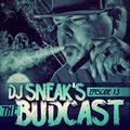 DJ SNEAK | THE BUDCAST | EPISODE 13 | JUNE 2014