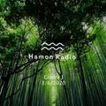 #201 Giedre J w/ Hamon Radio from UK