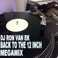 DJ Ron Van Ek - Back to The 12 Inch Megamix (Section The 80's Part 4)