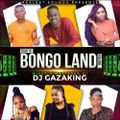 TOUR TO BONGO LAND MIXTAPE VOL _1 -  DJ GAZAKING THA ILLEST