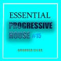 Essential & Progressive House Mix #15 (Groover Silva)