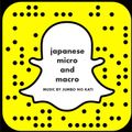 Japanese micro and macro