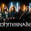 Whitesnake Mix I