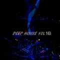 DEEP HOUSE VOL 16