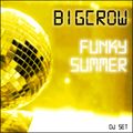 Dj BigCrow - Funky Summer