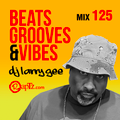 Beats, Grooves & Vibes 125 w. DJ Larry Gee