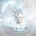Avicii - Live @ White Wonderland NYE Party (31.12.2012)