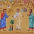2022. augusztus 24. szerda - Szent Bertalan apostol ünnepe