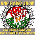 Roots n Permaculture radio show 002: Patterns and principles