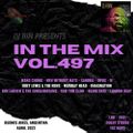 Dj Bin - In The Mix Vol.497
