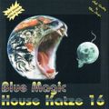 Blue Magic House Katze 16