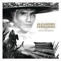 Hecho En Mexico Alejandro Fernandez 2020