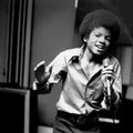 The Tribute Series: Michael Jackson