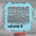 Select Mix - Mini Mixes In The Mix Vol 8 (Section Party All The Time)