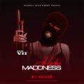 HIP HOP MADDNESS VII BY DJ KUUCH THE SPECTACULAR
