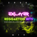 Exlayer Dj - Reggaeton Mix (Bichota, Reloj ,En la Nota, Chica Ideal, Joro, DAKITI 2020)