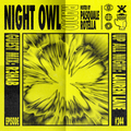 Night Owl Radio 244 ft. Lauren Lane and R3HAB