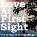 Love at first sight session (the dream of the nightingale)