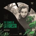 THE SOUNDS OF LA FORESTA EP22 - BODAI