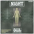 Night Owl Radio 384 ft. Countdown NYE 2022 Mega-Mix