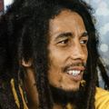 Bob Marley - Some of my fav tracks from my fav musical artist