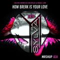 Calvin Harris & Disciples Vs Reece Low - How Break Is Your Love (Da Sylva Mashup)