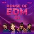 DJ DBLA - HOUSE OF EDM VOL 01