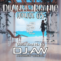 Divinyl Organic House 05