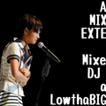 AKB48 MIXTAPE EXTENDED ver. vol.1/DJ 狼帝 a.k.a LowthaBIGK!NG