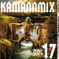 Theo Kamann Kamannmix 17