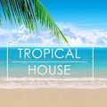 Summer 2016 Tropical House Music|Deep House|Indie Dance DJ Chico Alves