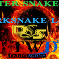Darksnake Special Hard Techno "After Snake 98" Radio TwoDragons 31.7.2022