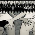 Moombahton (remixes)