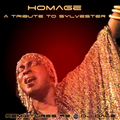 Remixtures 93 - Homage - A Tribute To Sylvester